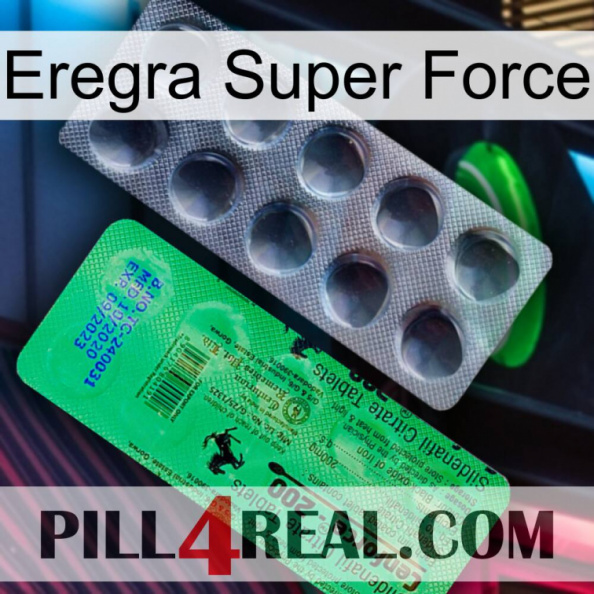 Eregra Super Force new04.jpg